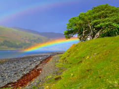 arcobaleno 32 lista